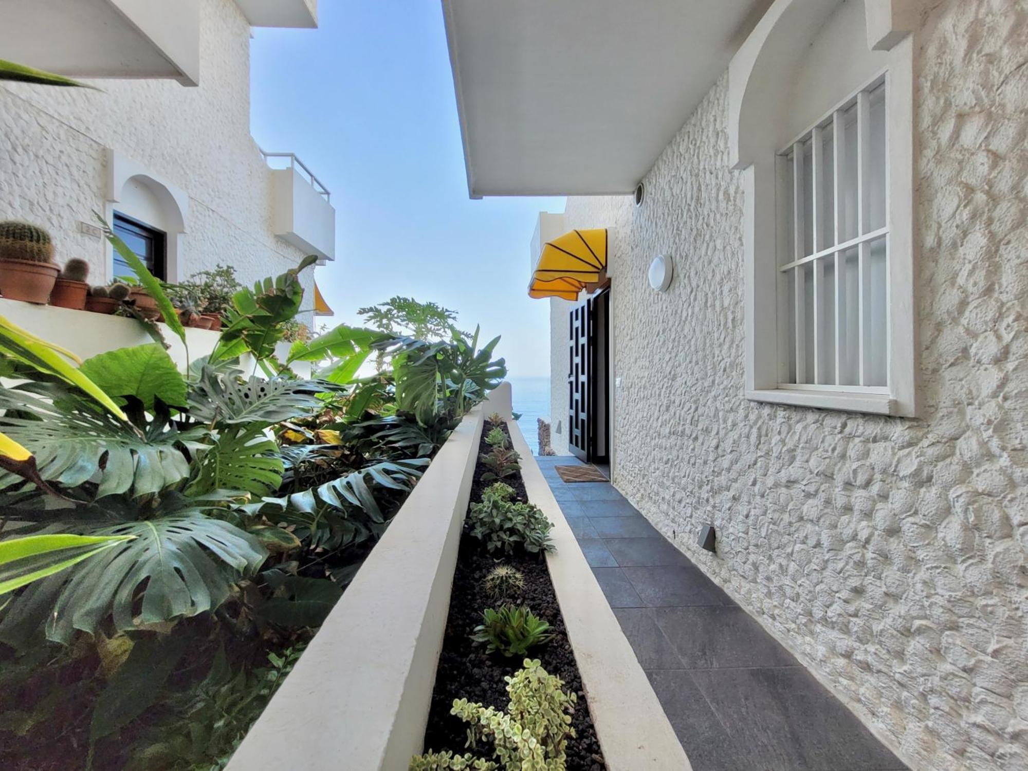 Apartamento Bellavista Mar Puerto de la Cruz  Exterior foto